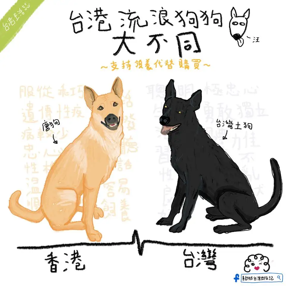 中华田园犬的由来(中华田园犬是怎么来的)