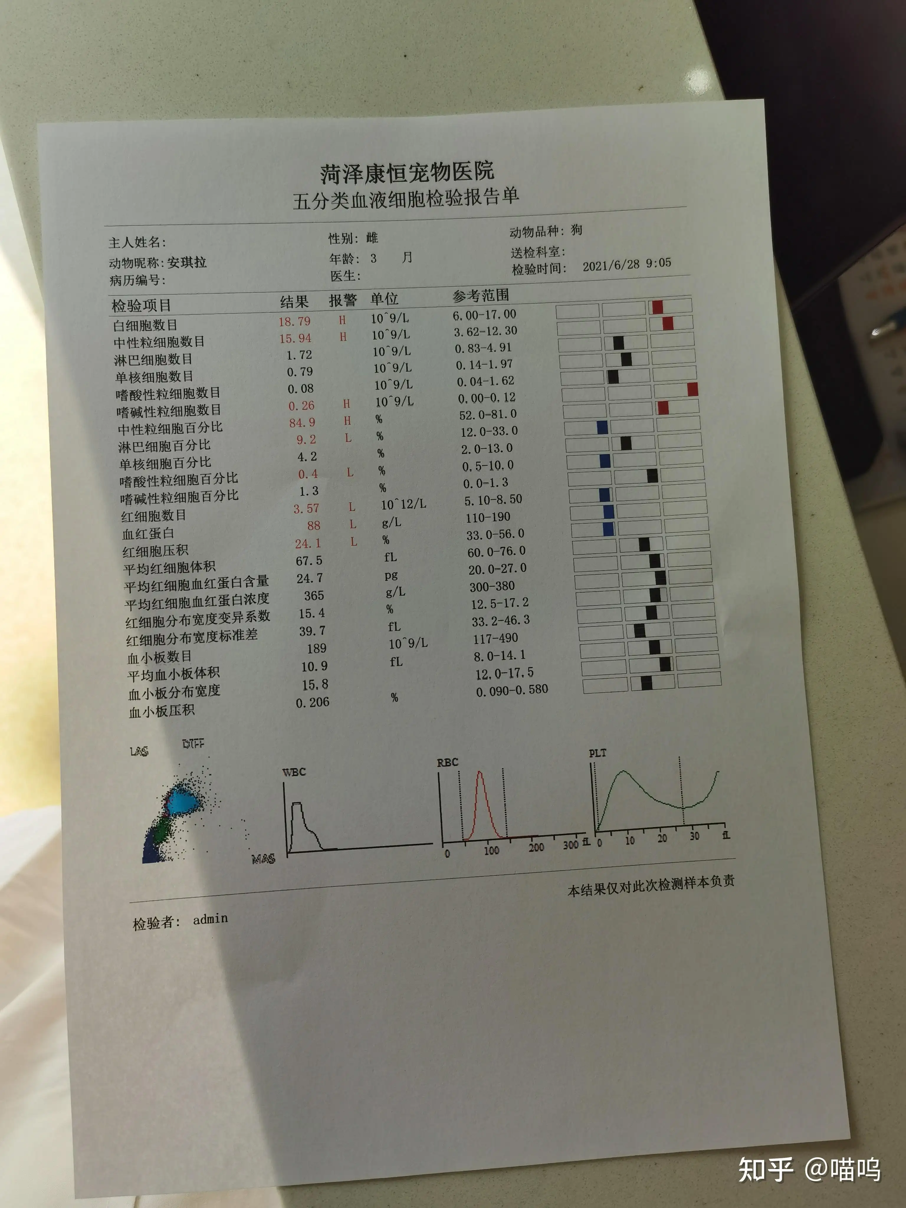 小狗细小能活几天(狗狗细小可以活几天)