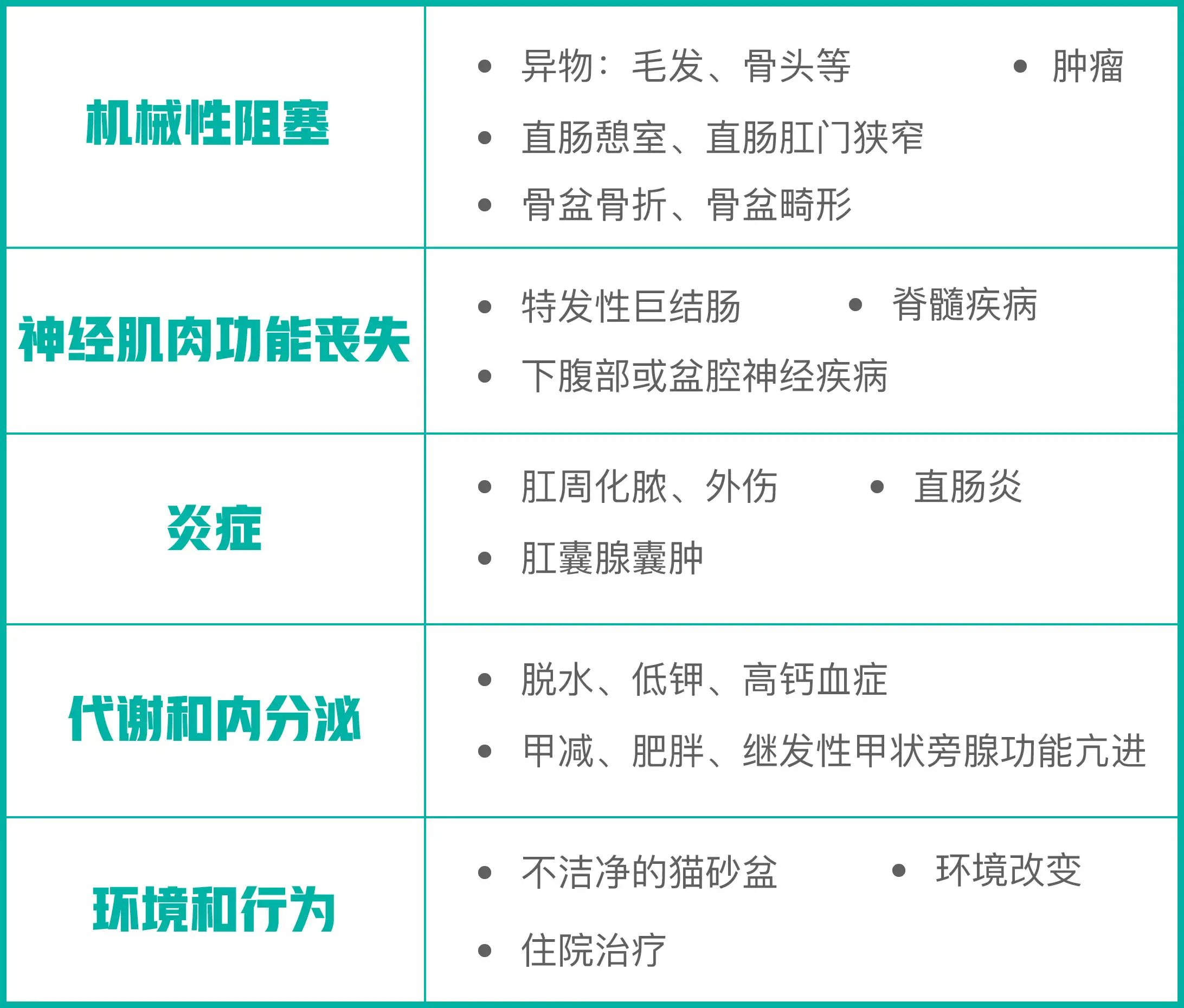 猫咪便秘的6个小妙招(猫咪便秘的6个小妙招图片)