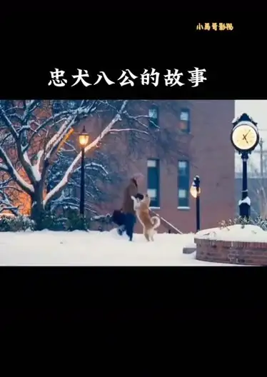 忠犬八公的故事普通话(忠犬八公的故事完整免费版)