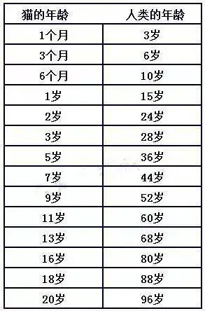 狗一年是几岁相当于人的几岁(狗一年是几岁相当于人的几岁呢)