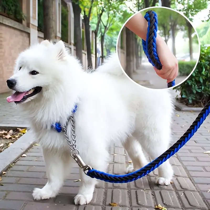 萨摩耶犬多少钱一只上海的简单介绍