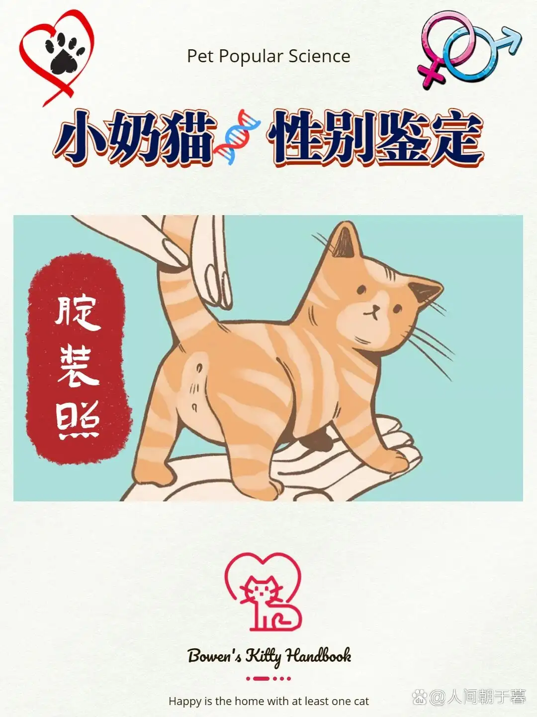 怎么判断猫咪是公猫还是母猫(怎么判断猫咪是公猫还是母猫呢)