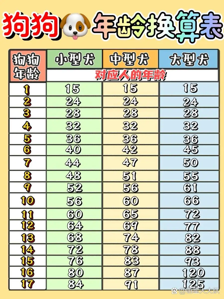 属狗1946活到多少岁(1946属狗人的寿命预测女命)