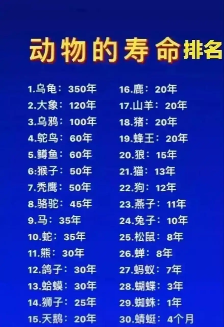 1958年狗的寿命表(1958年狗能活多大年龄)