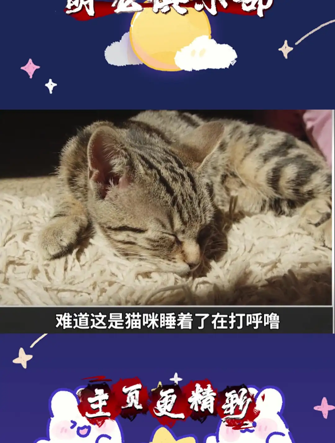 猫咪发出呼噜呼噜声是什么意思(猫咪发出呼噜呼噜声是什么意思呀)