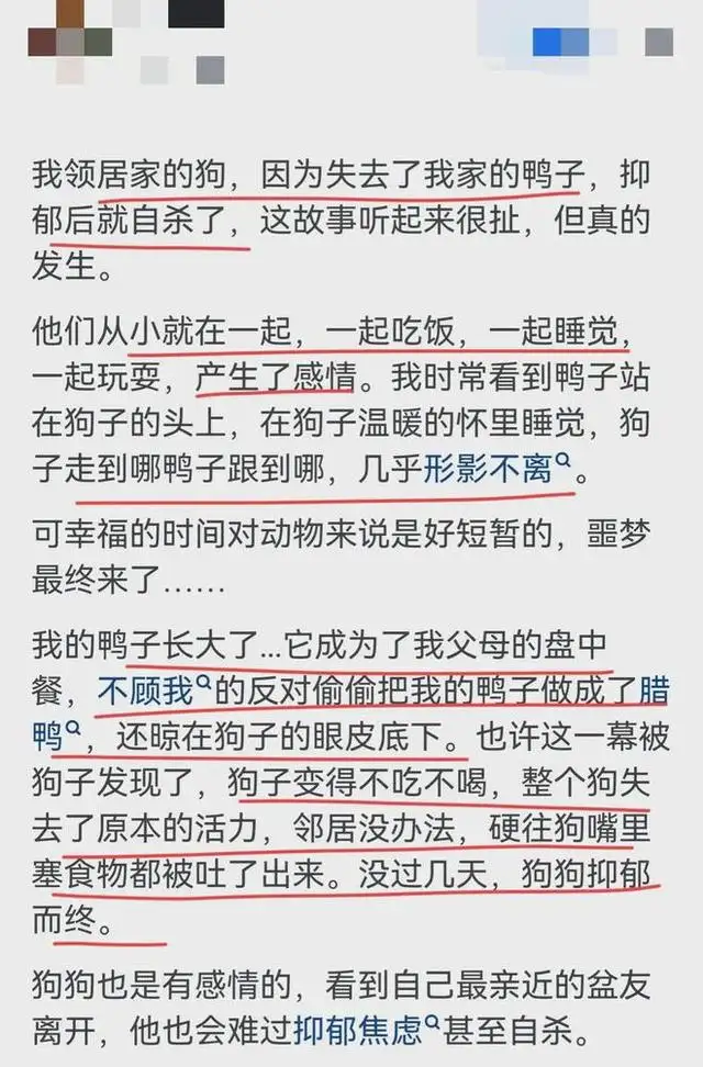 自己喂的狗死了是什么预兆(自己喂的狗死了是什么预兆呢)