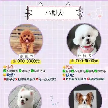 中型犬品种(中型犬品种大全)