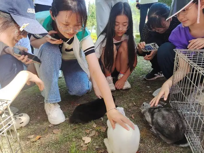 獭兔现在市场多少钱(獭兔现在市场多少钱一个)