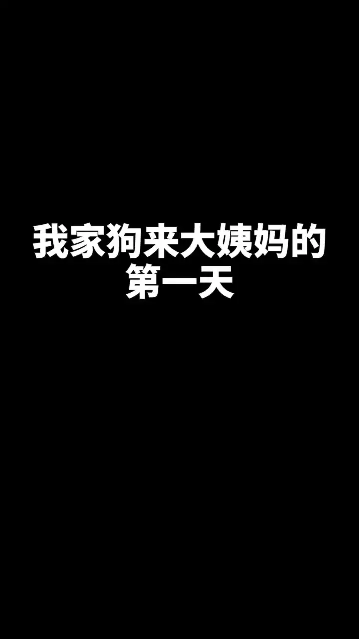 狗几个月会来大姨妈(狗几个月会来大姨妈啊)