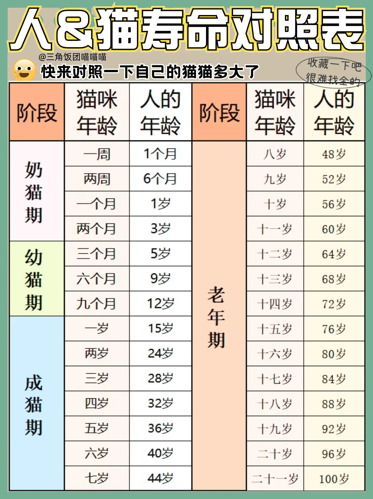 猫的寿命有多长(猫的寿命有多长时间)