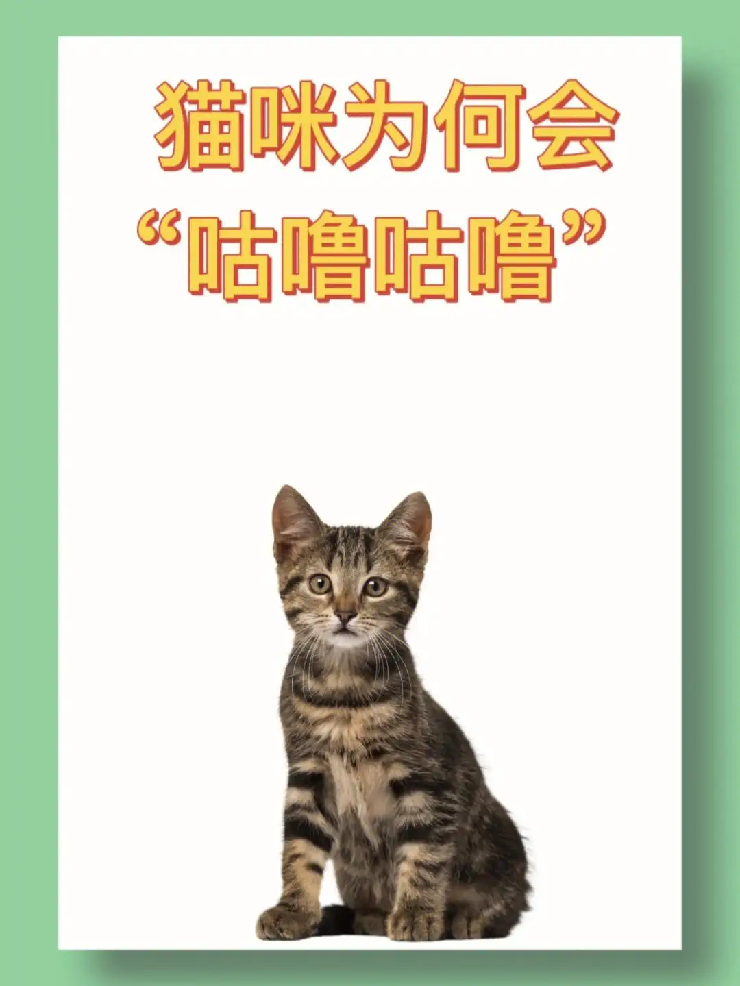 猫咪总是咕噜咕噜的声音是怎么回事(猫咪老是咕噜咕噜发出声音是不是病了)