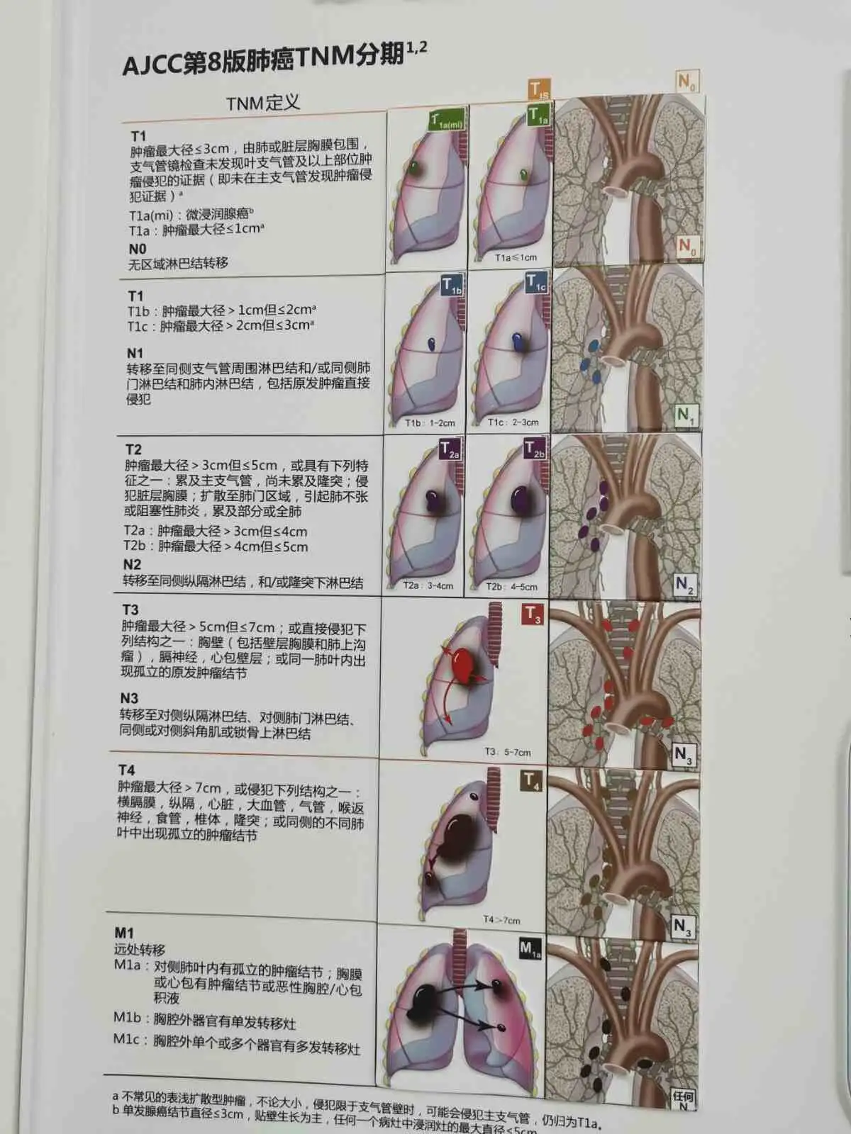 胰头ca切除后可活多久(胰头ca切除后可活多久啊)