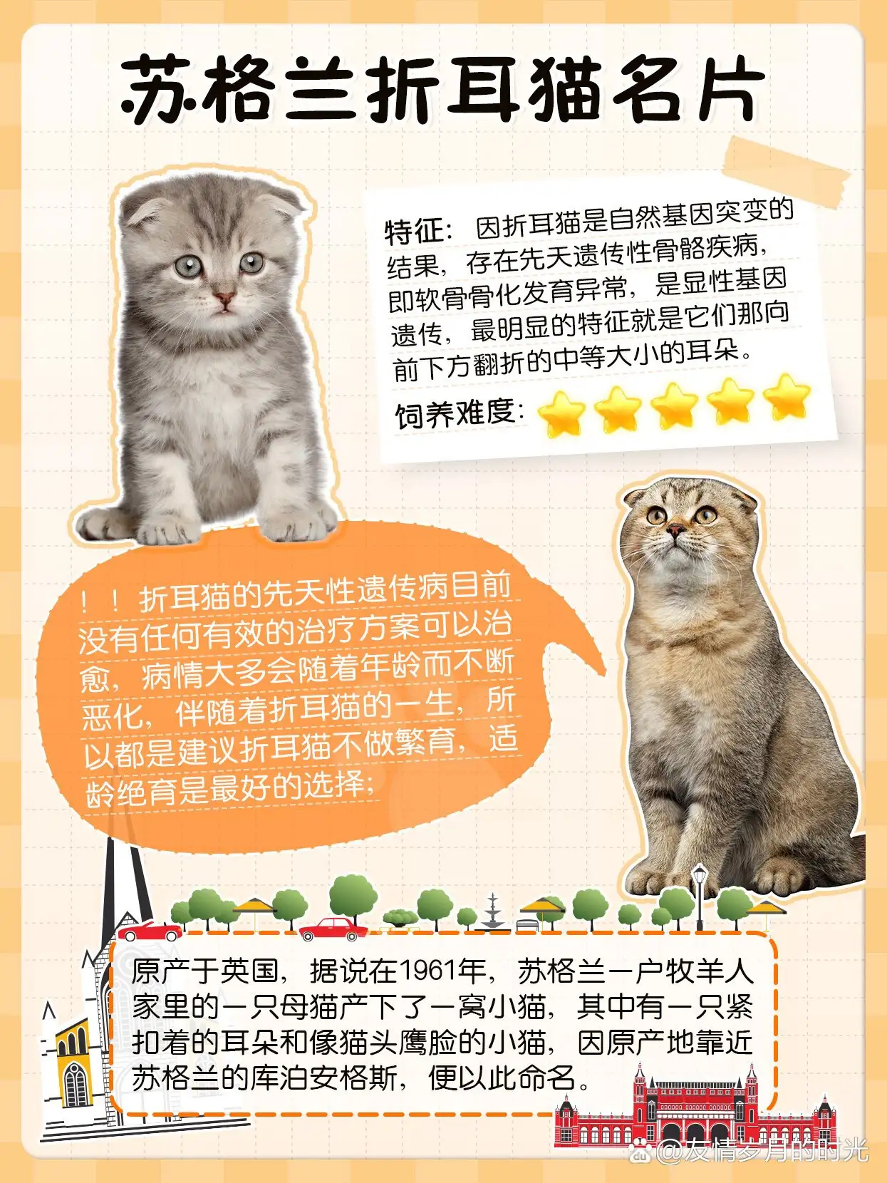 折耳猫怎么来的(折耳猫是怎么回事)