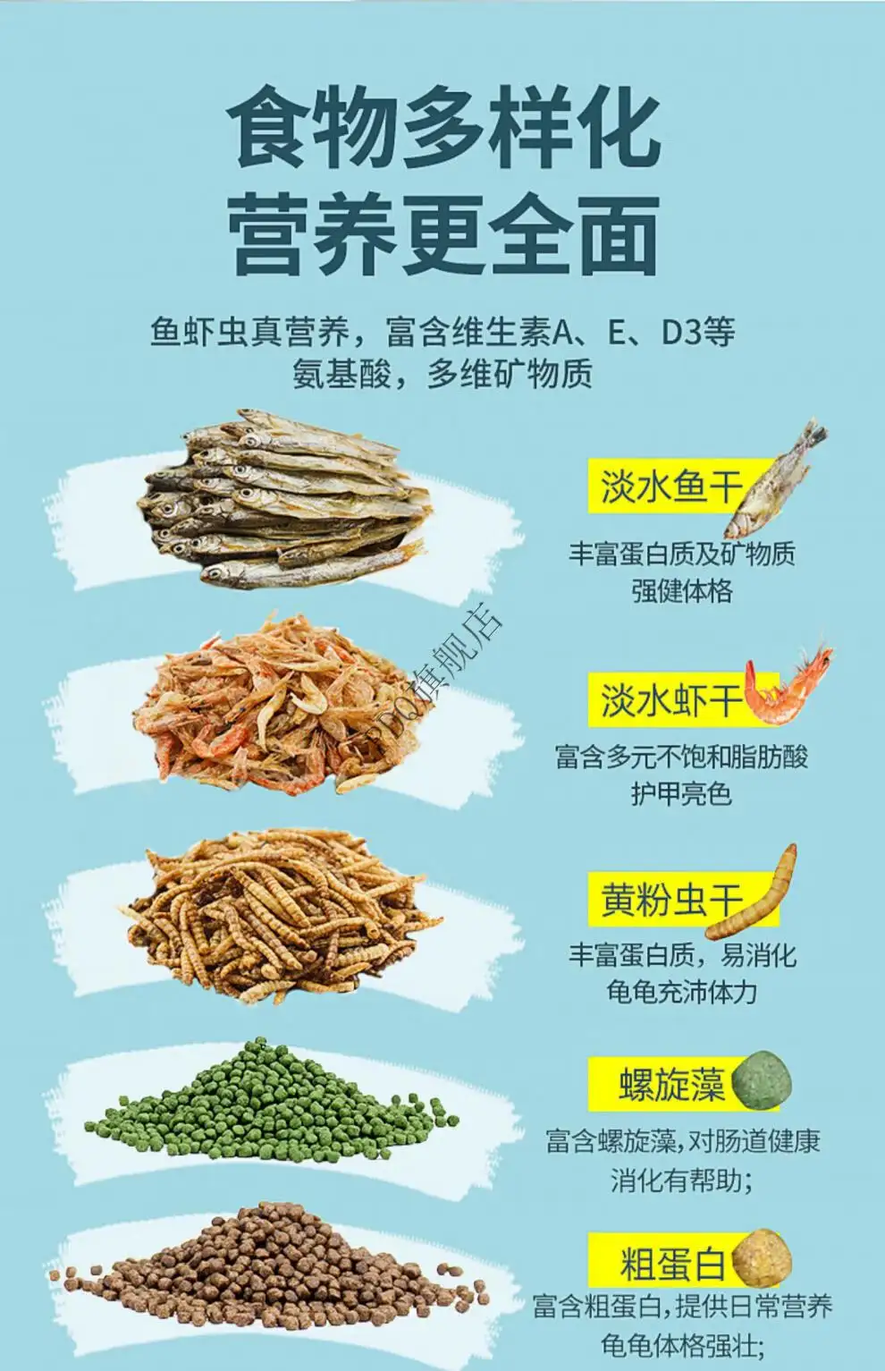 花龟吃什么食物最好(花龟吃什么食物最好吃)