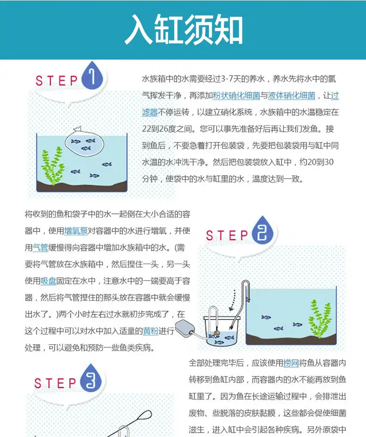 怎样繁殖孔雀鱼(怎样繁殖孔雀鱼公鱼多)