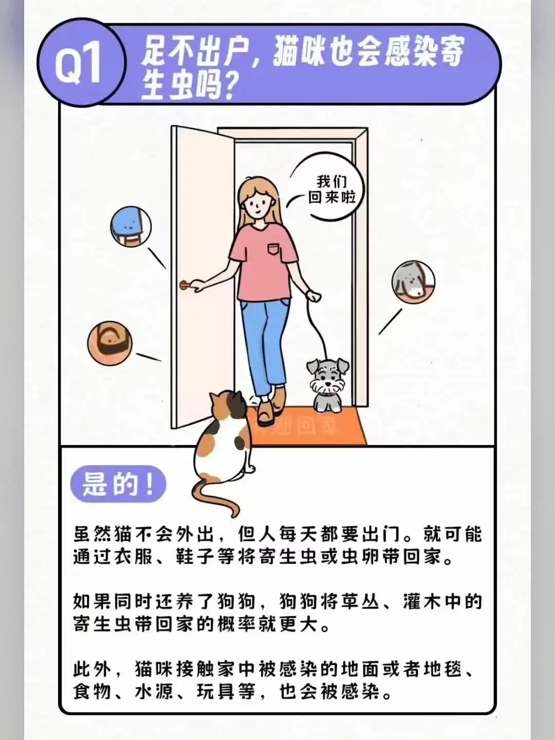 给猫身上驱虫(猫身上驱虫老办法?)