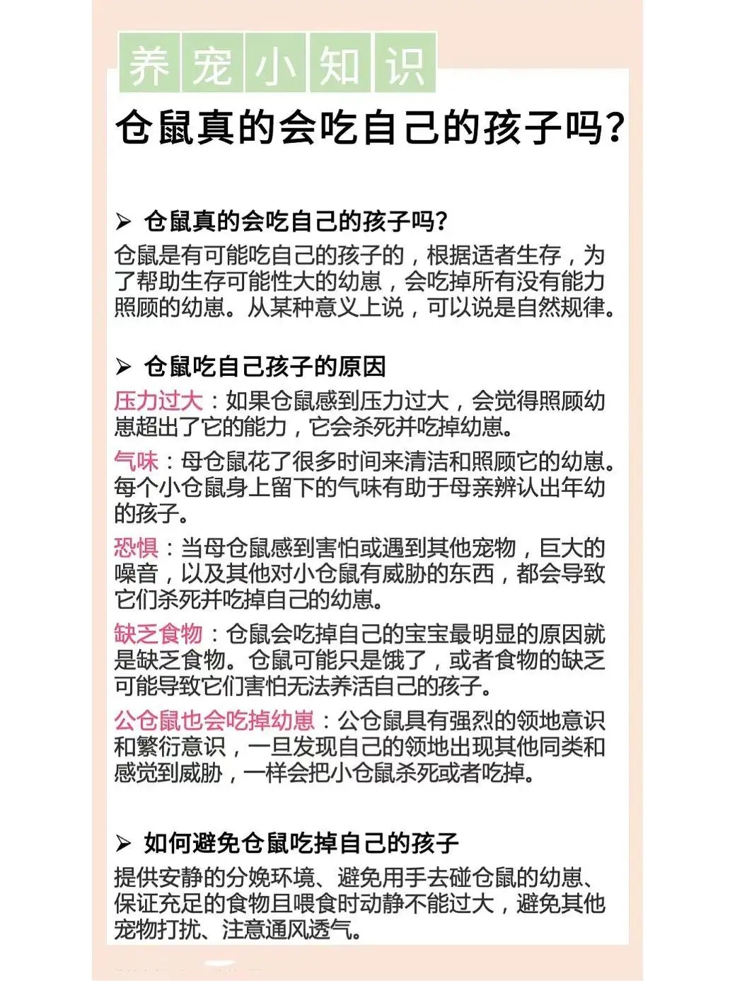 仓鼠会把自己撑死吗(仓鼠会把自己撑死吗视频)