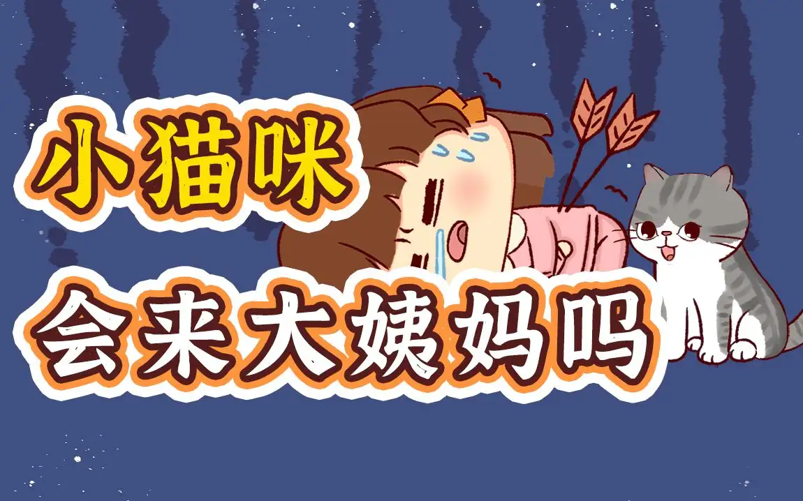 猫咪会来大姨妈嘛(猫咪会来大姨妈嘛图片)