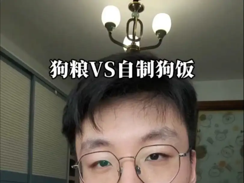 金毛吃狗粮还是自制(金毛可以不吃狗粮吃米饭吗)