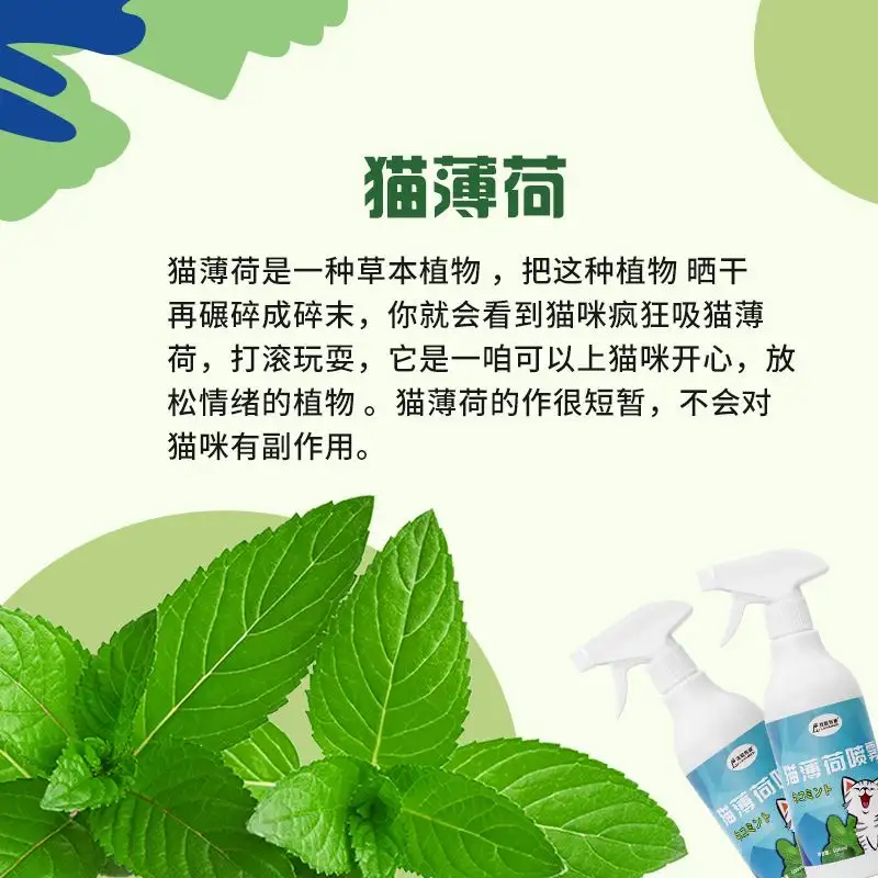 猫薄荷对小猫有用吗(猫薄荷对小猫有伤害吗)