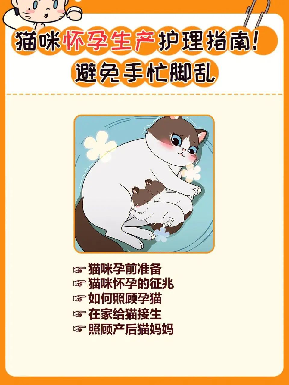 猫咪怀几个月(猫咪怀几个月生)