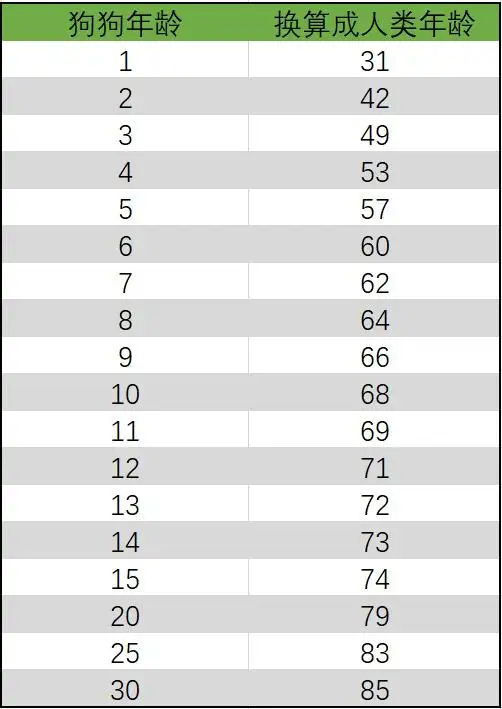 狗9岁相当于人多大(狗九岁相当于人多少岁)