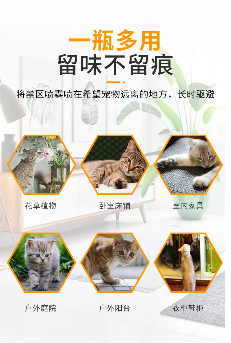 猫尿的气味如何清除(猫尿的味道怎么才能去除)