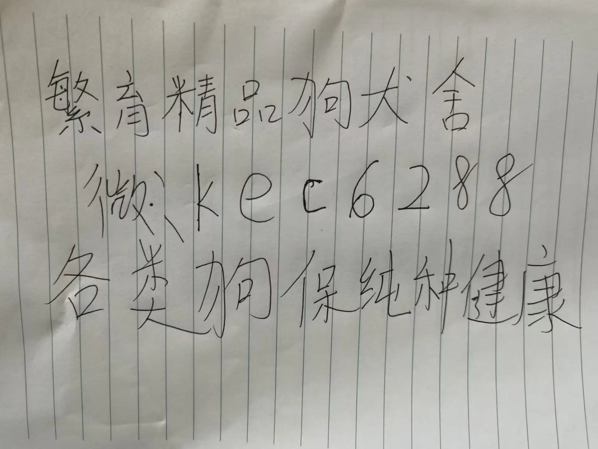 一只阿拉斯加狗要多少钱(一只阿拉斯加狗要多少钱呀)