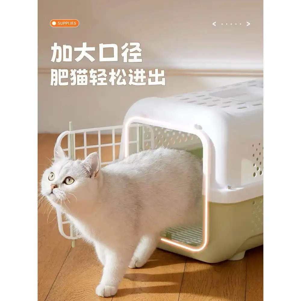 宠物猫空运费(猫空运费多少钱)