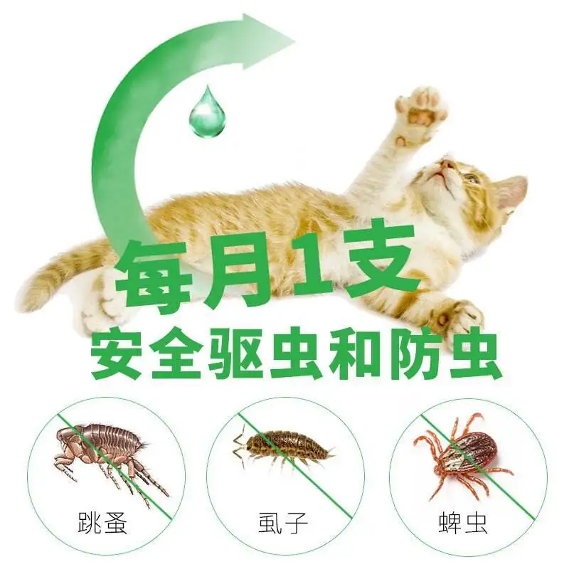 猫咪体内驱虫可以和体外驱虫一起吗(猫咪体内驱虫可以和体外驱虫一起吗视频)