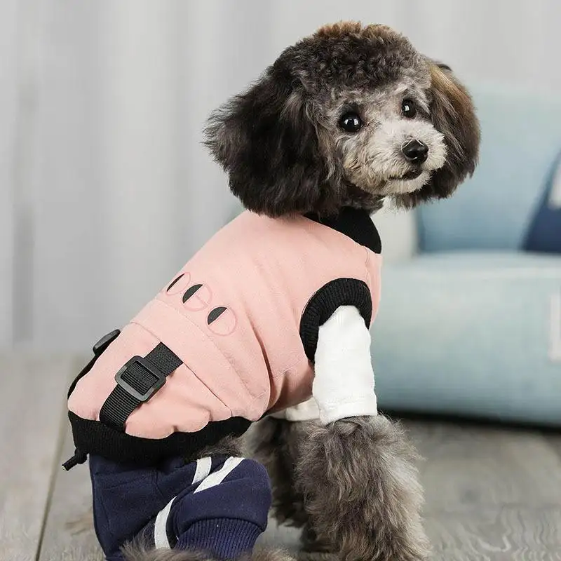 狗衣服泰迪小型犬(小泰迪狗衣服怎样制作过程)