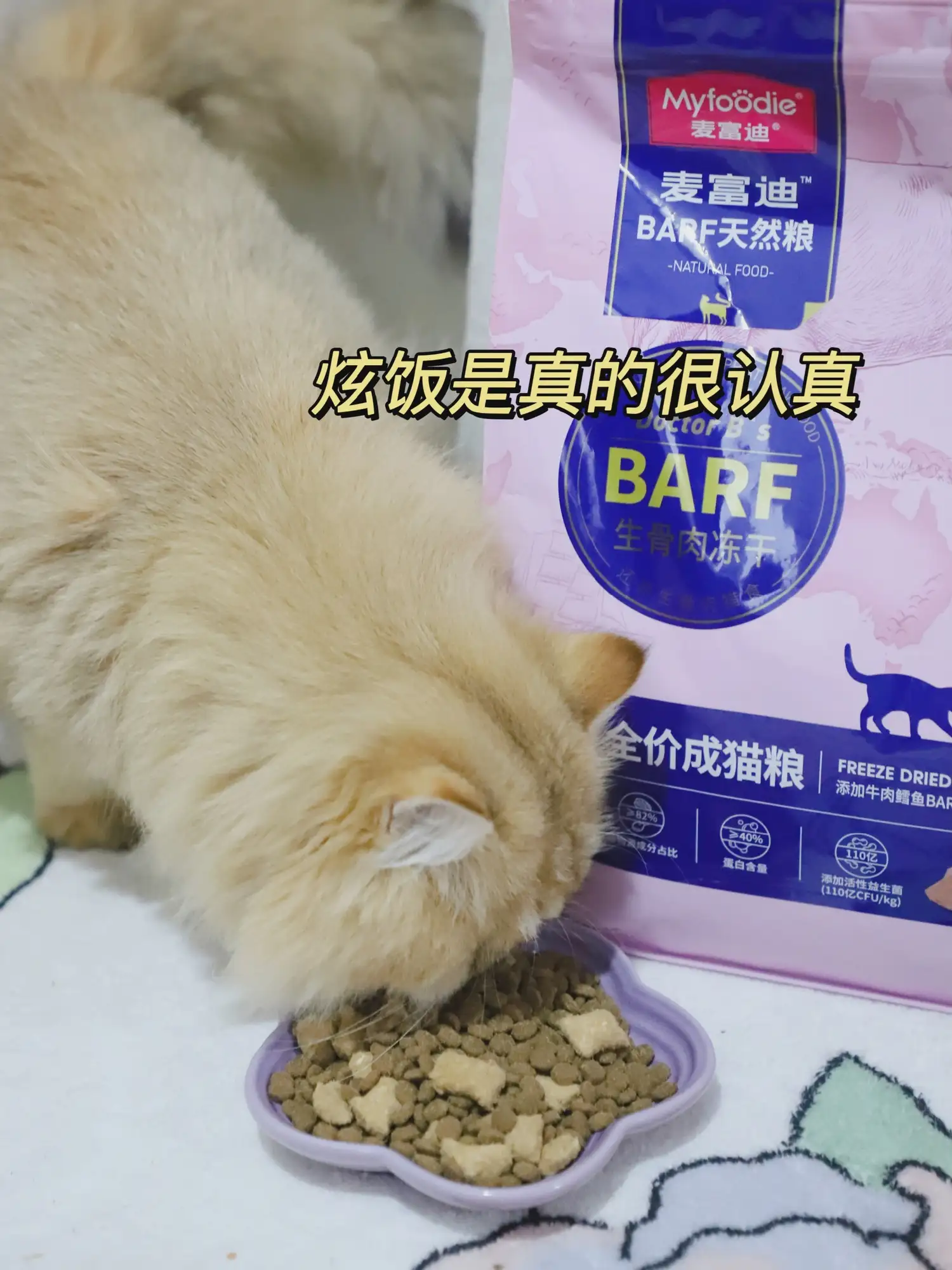 猫咪喉咙里发出咕噜咕噜的声音是什么意思(猫咪喉咙里发出咕噜咕噜的声音是什么意思啊)