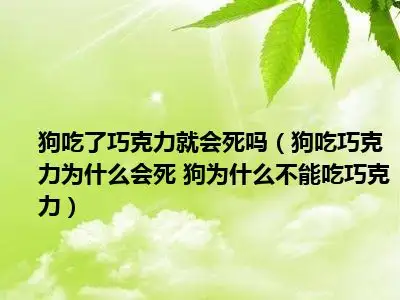 狗不可以吃巧克力吗(狗不可以吃巧克力吗视频)