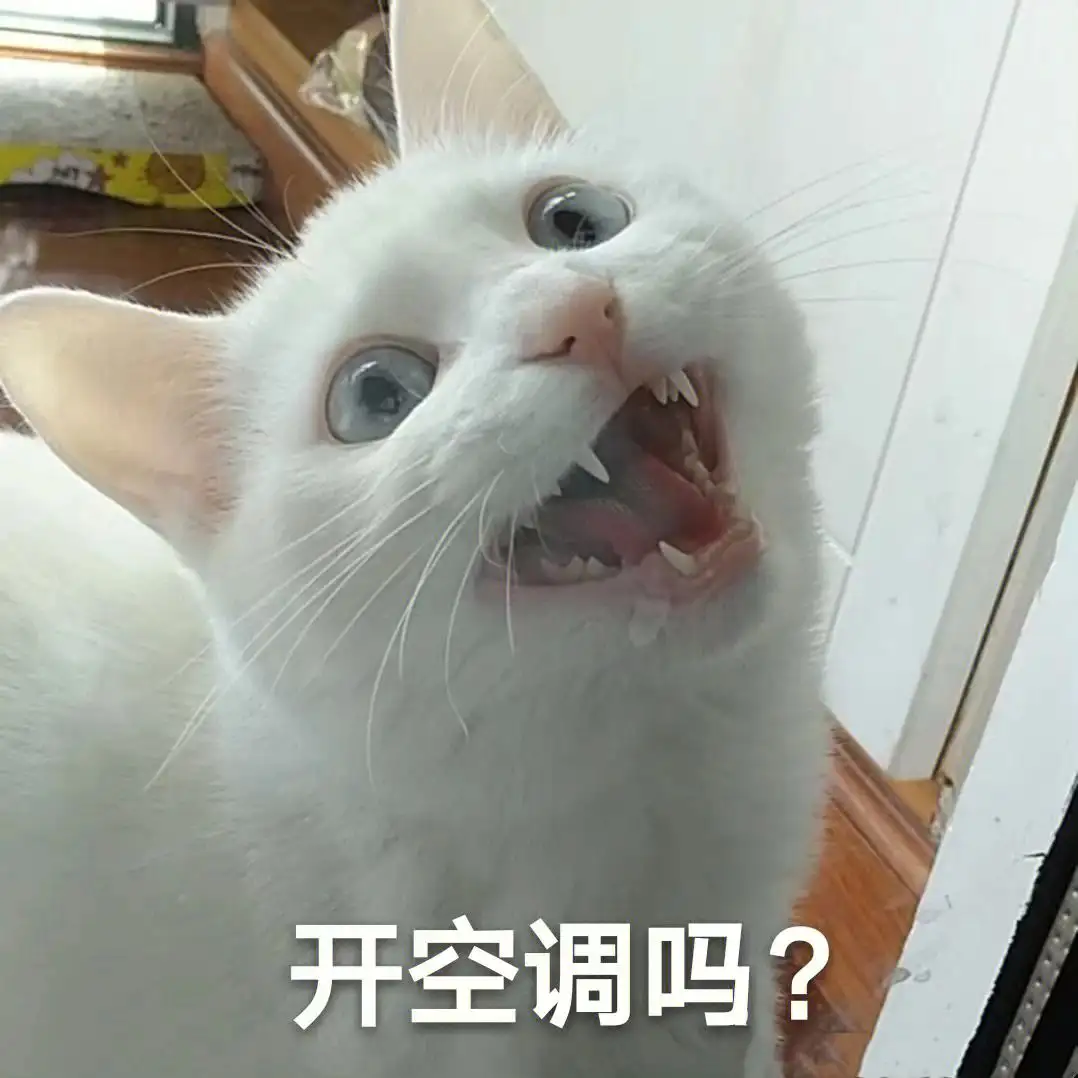 猫咪喜欢热还是冷(猫咪喜欢热还是喜欢冷)