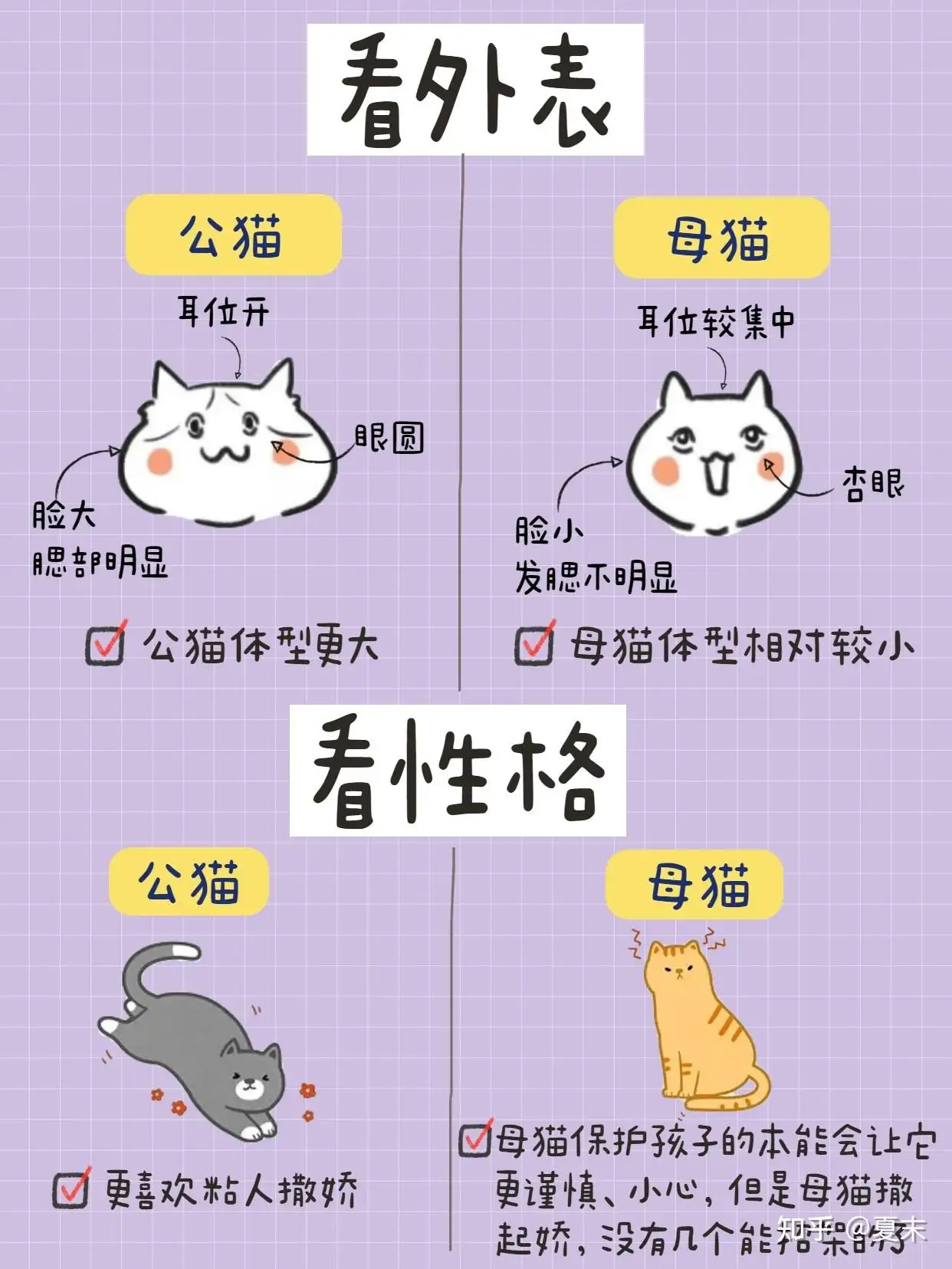 公猫和母猫性格区别(公猫和母猫性格区别在哪)