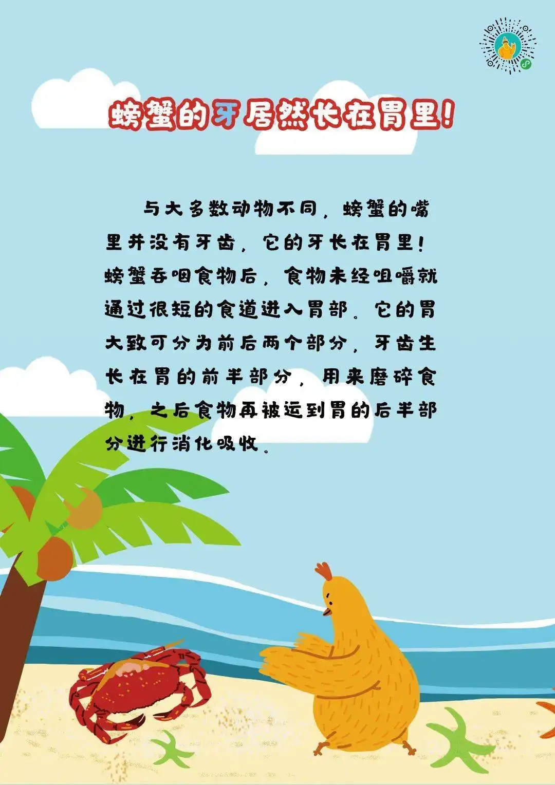 小螃蟹怎么养吃什么食物(小螃蟹怎么养活,小螃蟹吃什么)