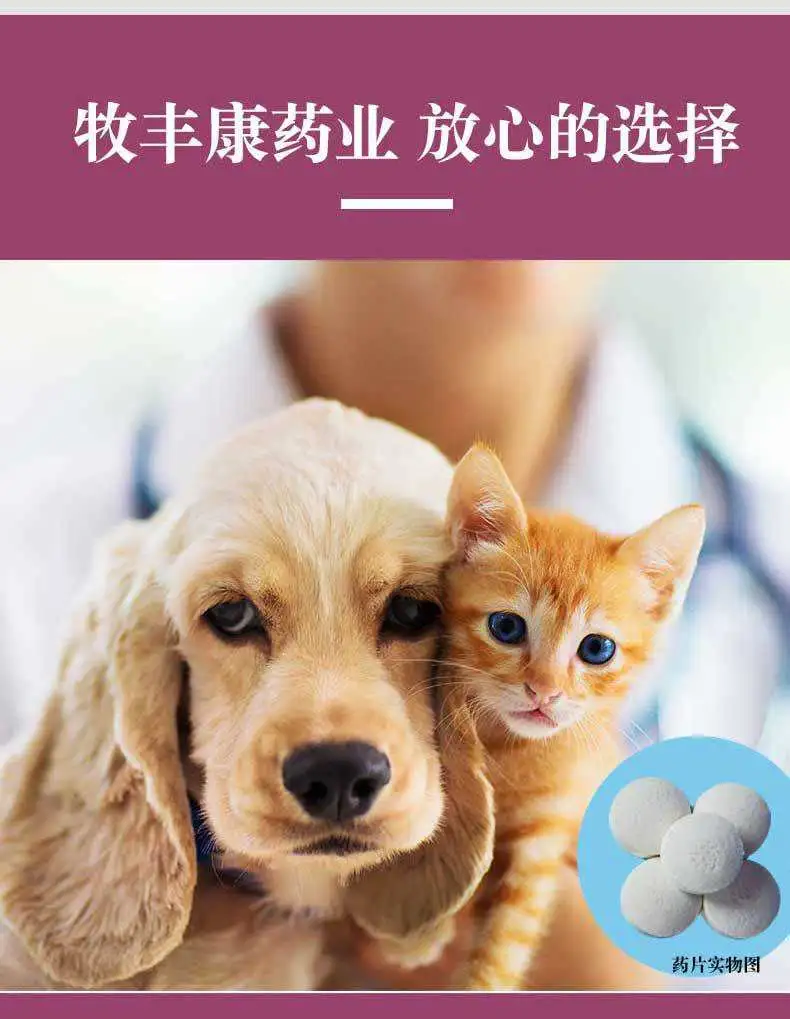 狗狗感冒了吃什么药呀(狗狗感冒了吃什么药最好)