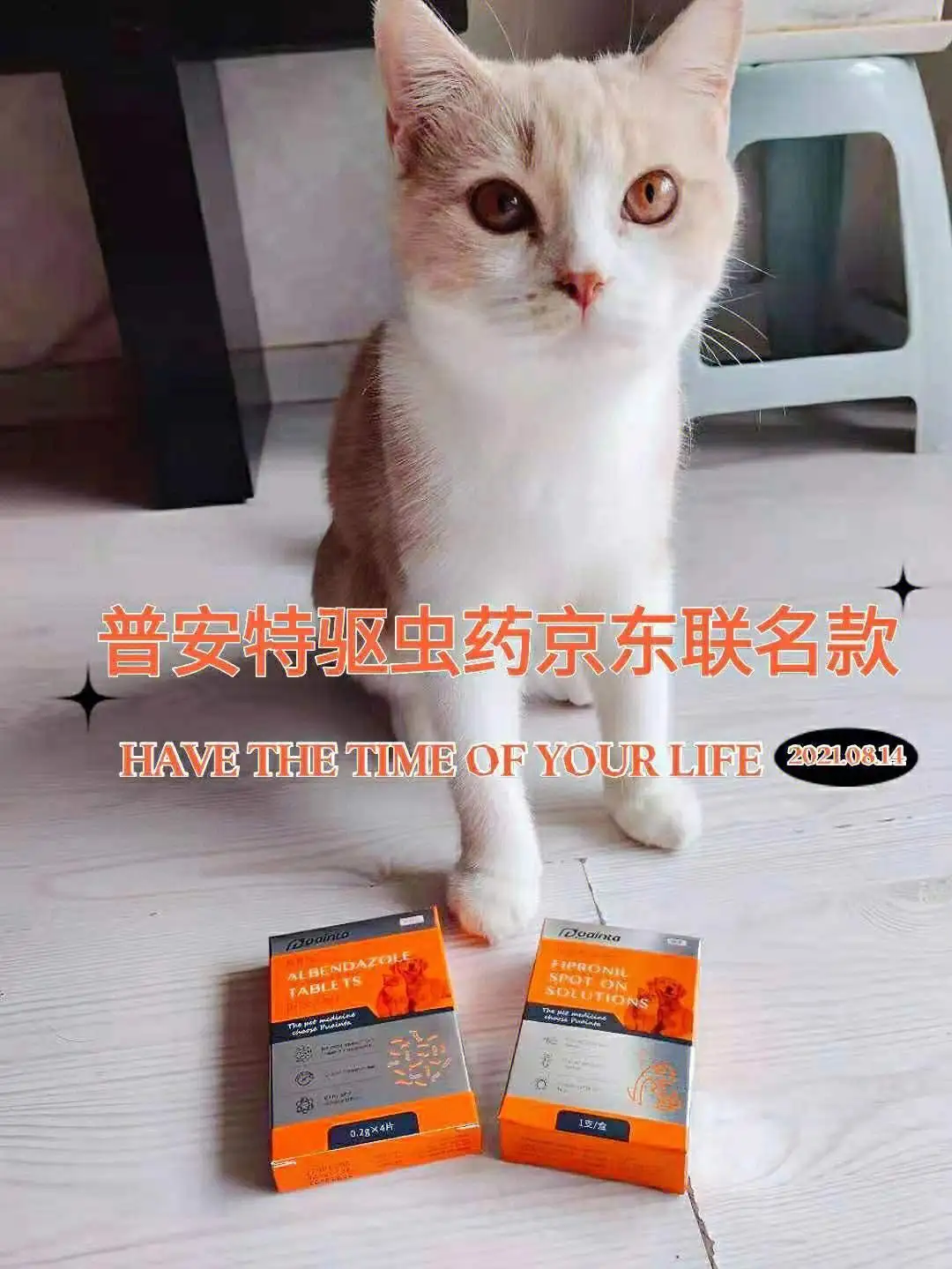 猫咪喂什么打虫药好(猫咪吃什么打虫药比较好)