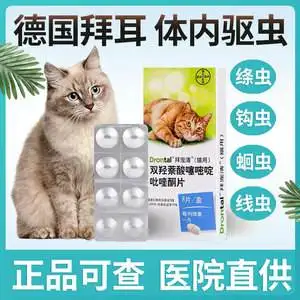 猫猫体内驱虫用什么比较好(猫咪体内驱虫用什么药比较好)