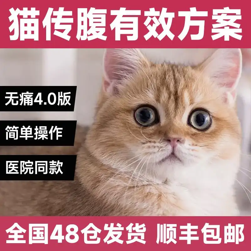 片剂传腹猫(猫传腹 药商)