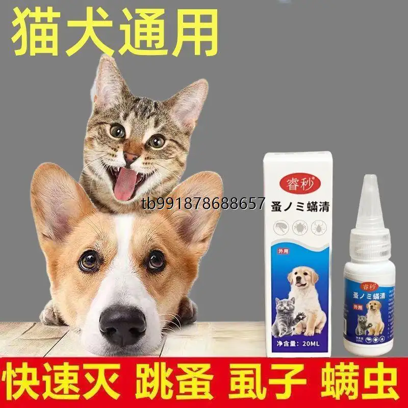 猫把外驱虫的药给舔了(猫把外驱虫的药给舔了有事吗)