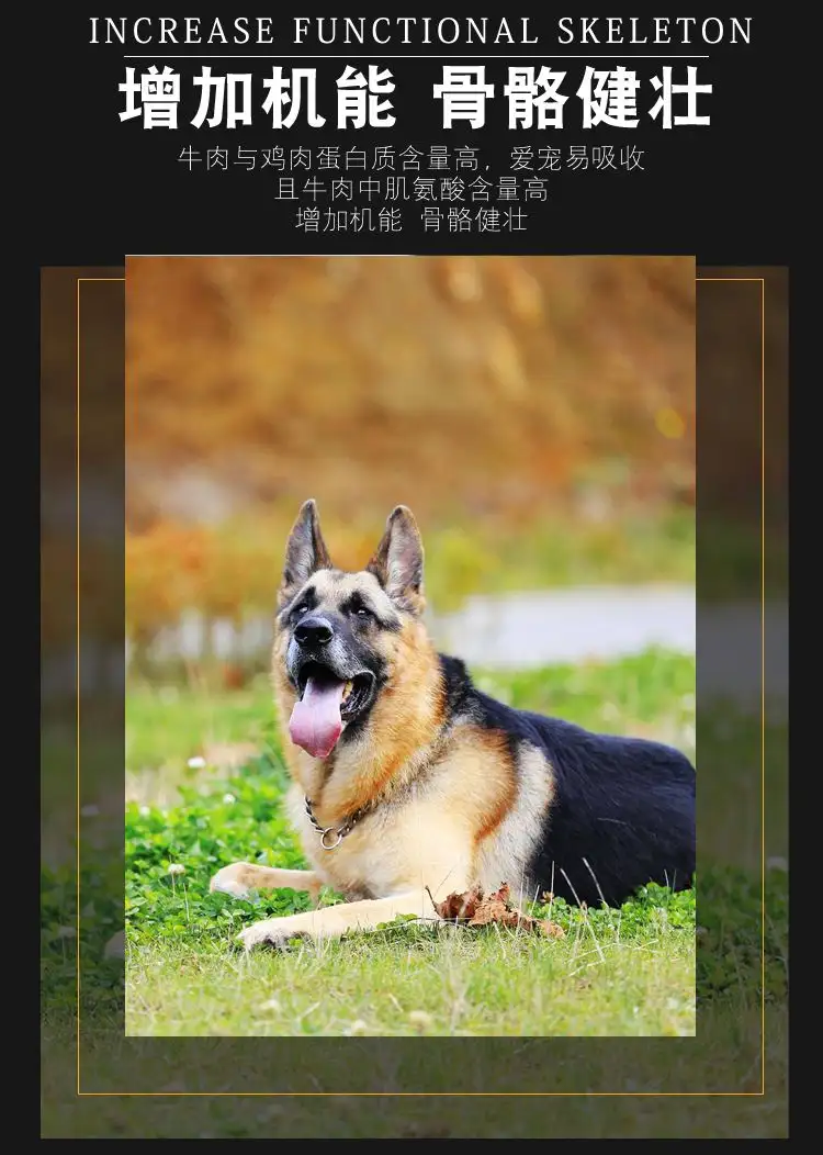 黑背幼犬吃什么狗粮(2个月幼犬吃40粒狗粮)