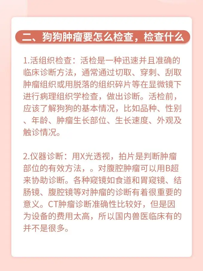 狗狗最多能活多少年(狗狗最多能活多少年寿命)