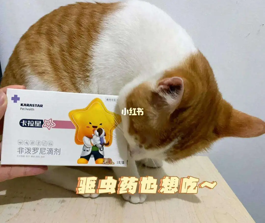 猫用驱虫药排名前10(猫用的驱虫药好的品牌有哪些)