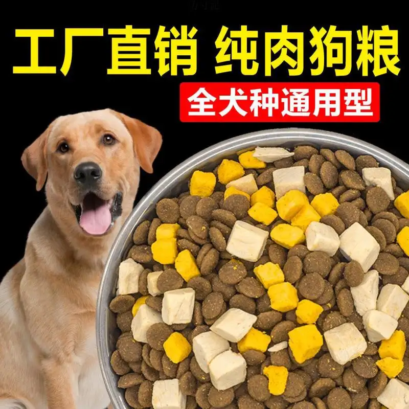 萨摩耶小型犬多少钱(萨摩耶犬多少钱一只幼崽图片)