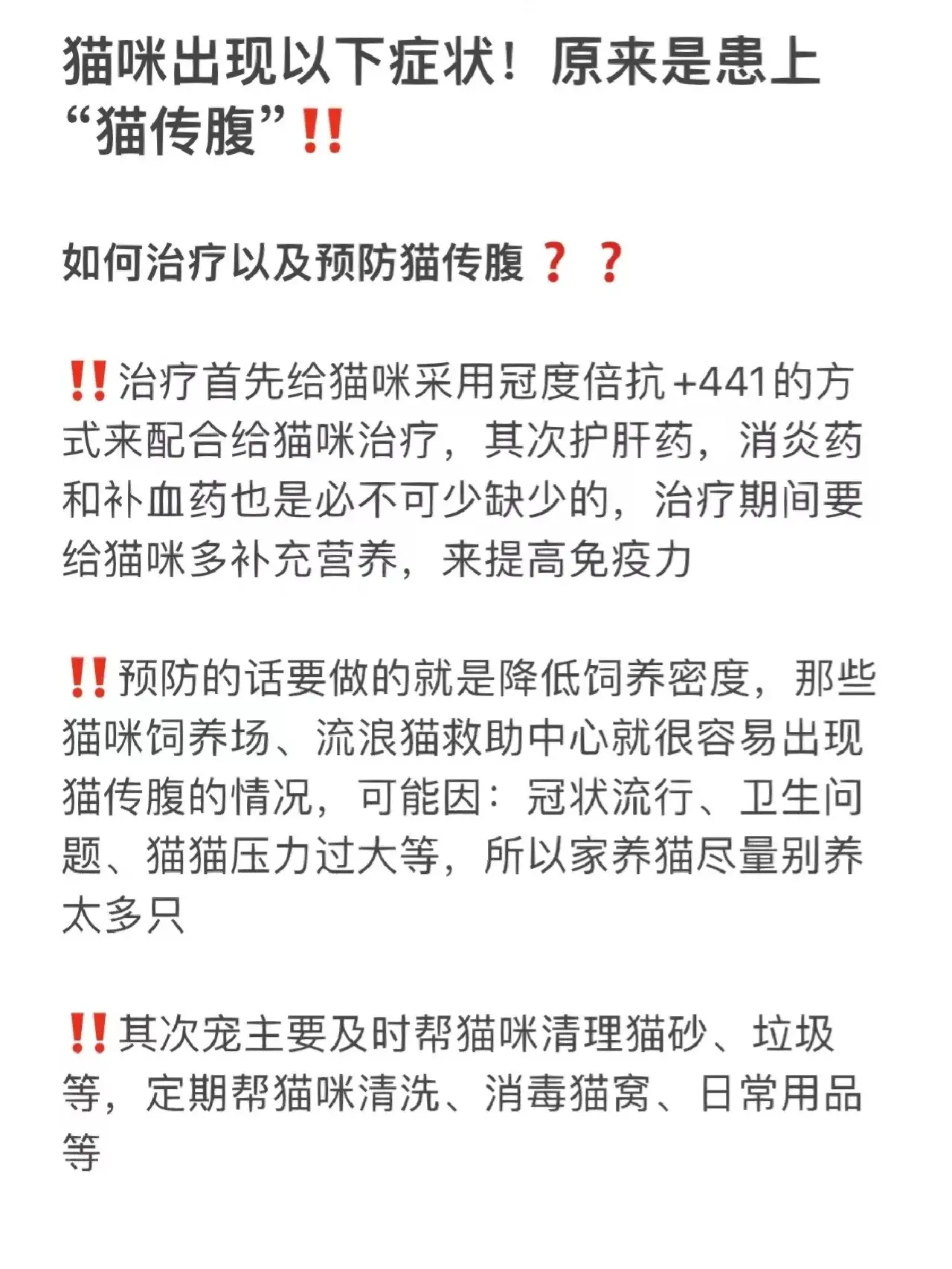 猫传腹症状早期症状(猫传腹早期的发病症状)