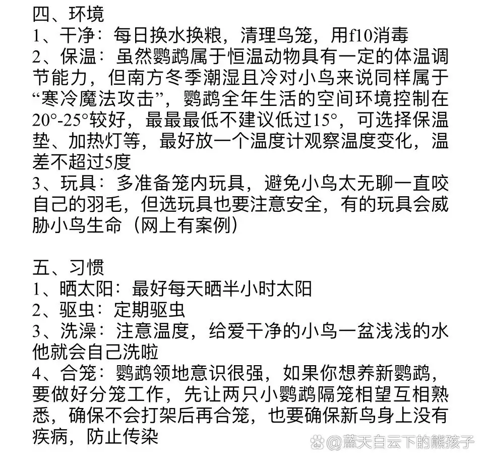 新手如何训练虎皮鹦鹉(新手如何训练虎皮鹦鹉 粘人)