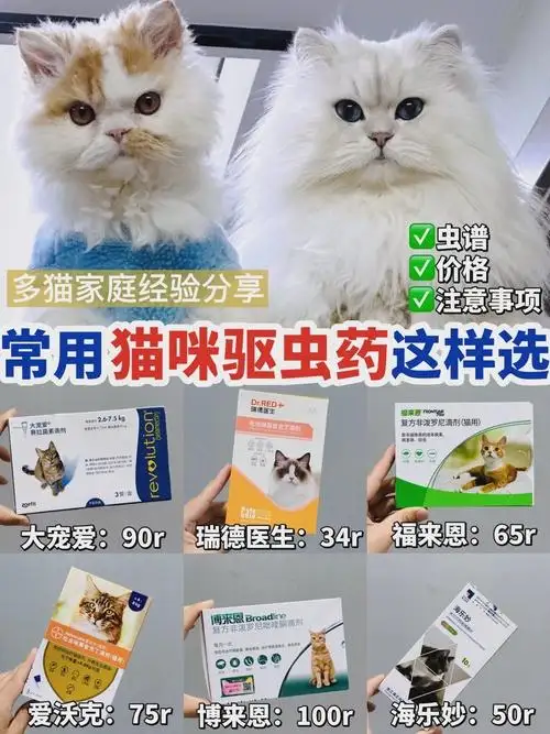 给猫驱虫什么药好(猫咪驱虫用什么驱虫药)