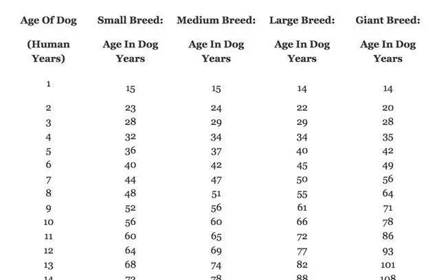 狗狗1岁相当于人几岁(狗狗1岁相当于人几岁了)